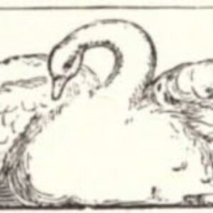 Meet your Posher, Leira